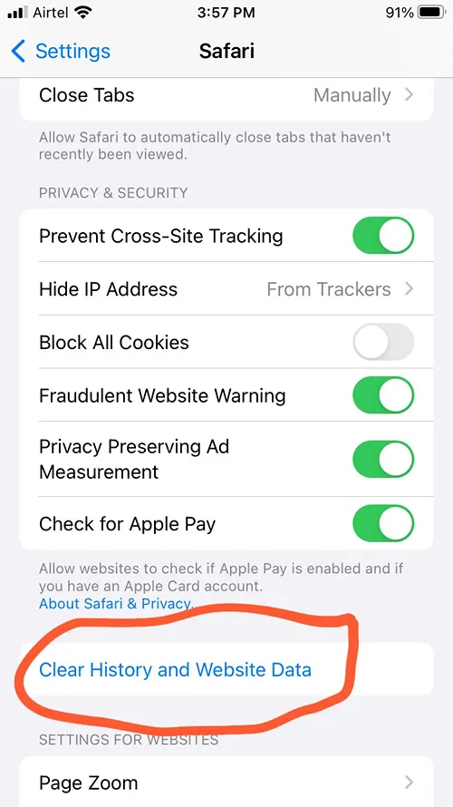 clear website data and history from safari settings